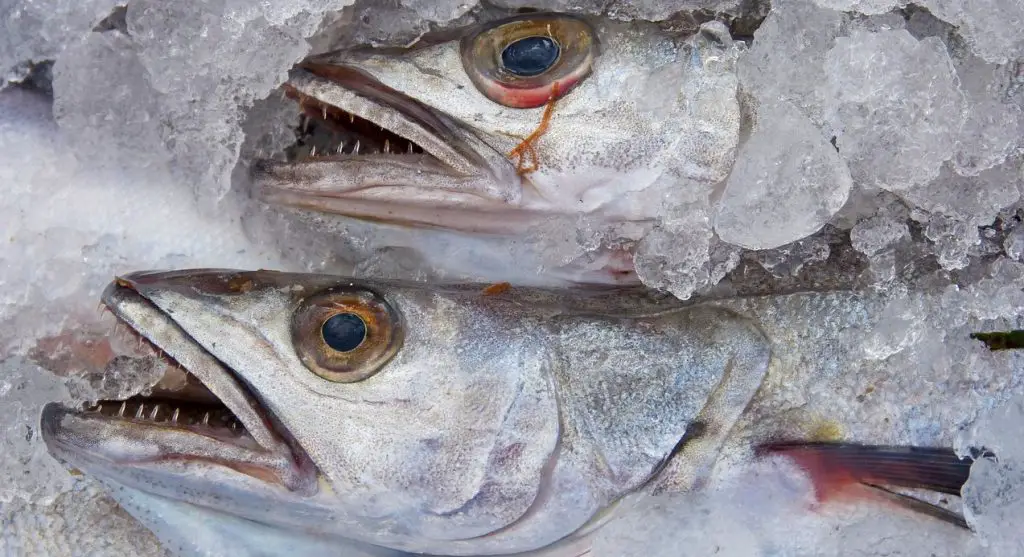 How to Oven Dry Panla Fish