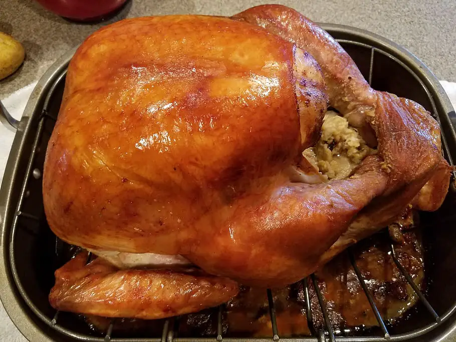 Convection Oven Whole Turkey